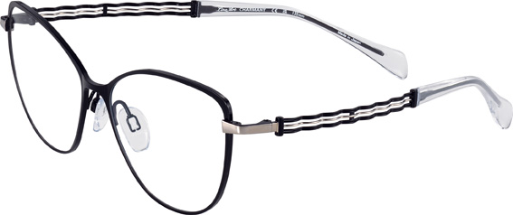 Bildangaben anzeigen